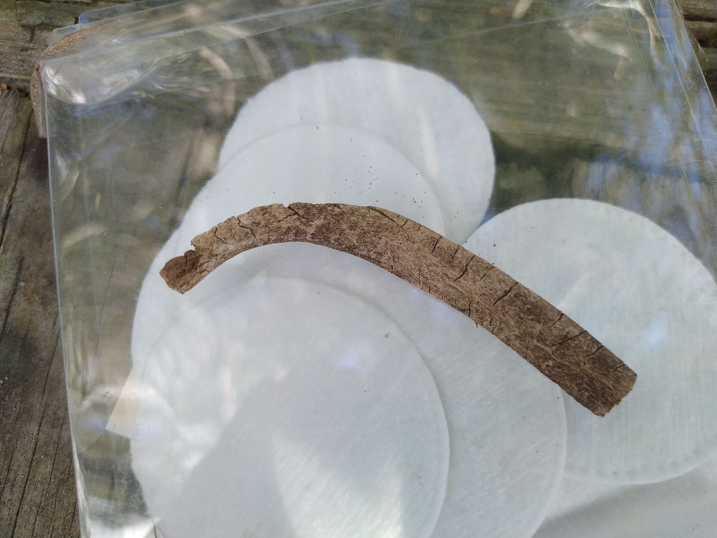 Коломна, Археология, История, Культура