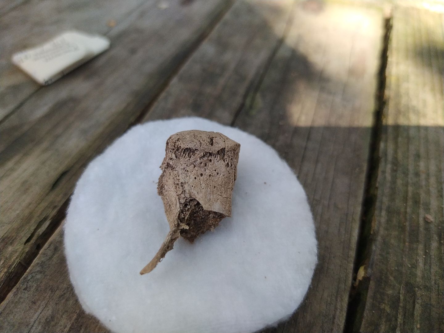 Коломна, Археология, История, Культура