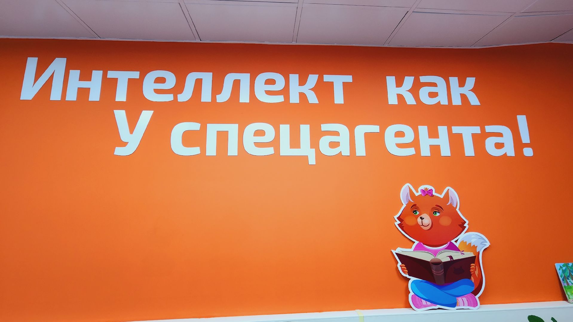 Подмосковье, Ивантеевка, бизнес