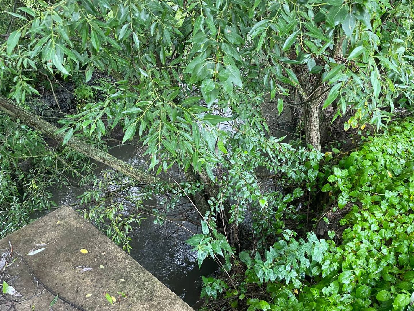 Сергиево-Посадский городской округ, Сергиев Посад, КНС, ЖКХ, Открытая власть