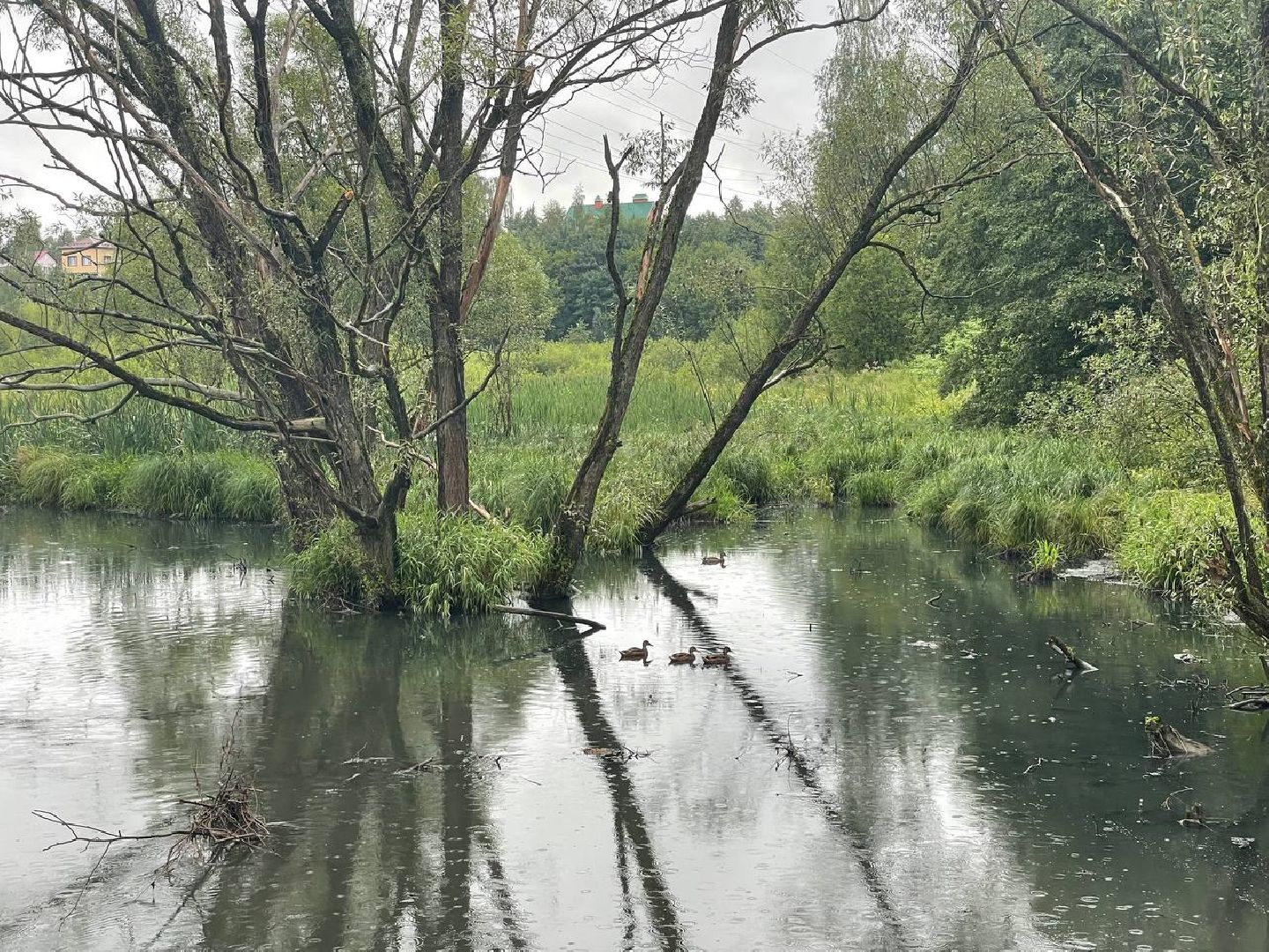 Сергиево-Посадский городской округ, Сергиев Посад, КНС, ЖКХ, Открытая власть