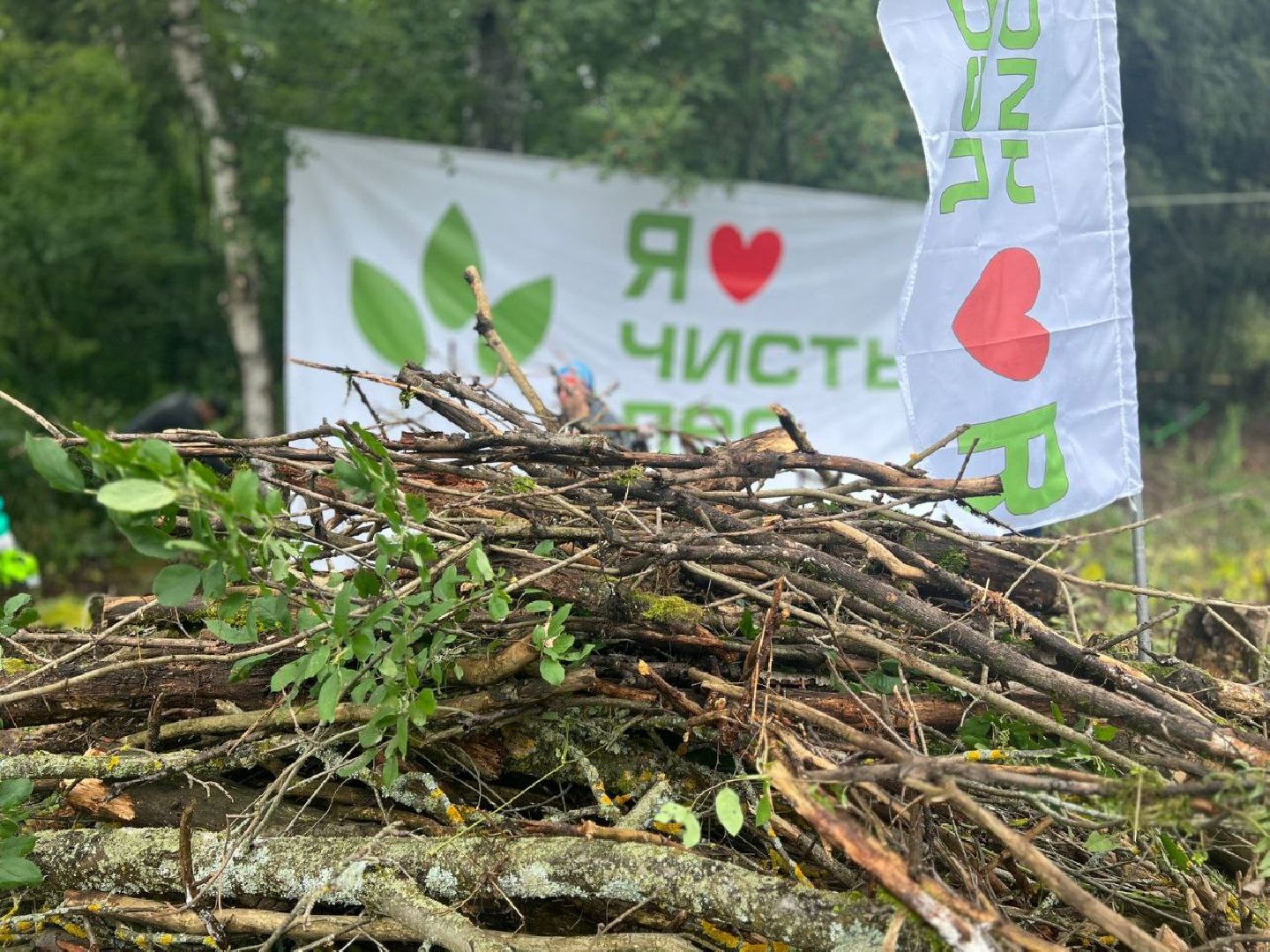 Солнечногорск, субботник, лес, акция, жители