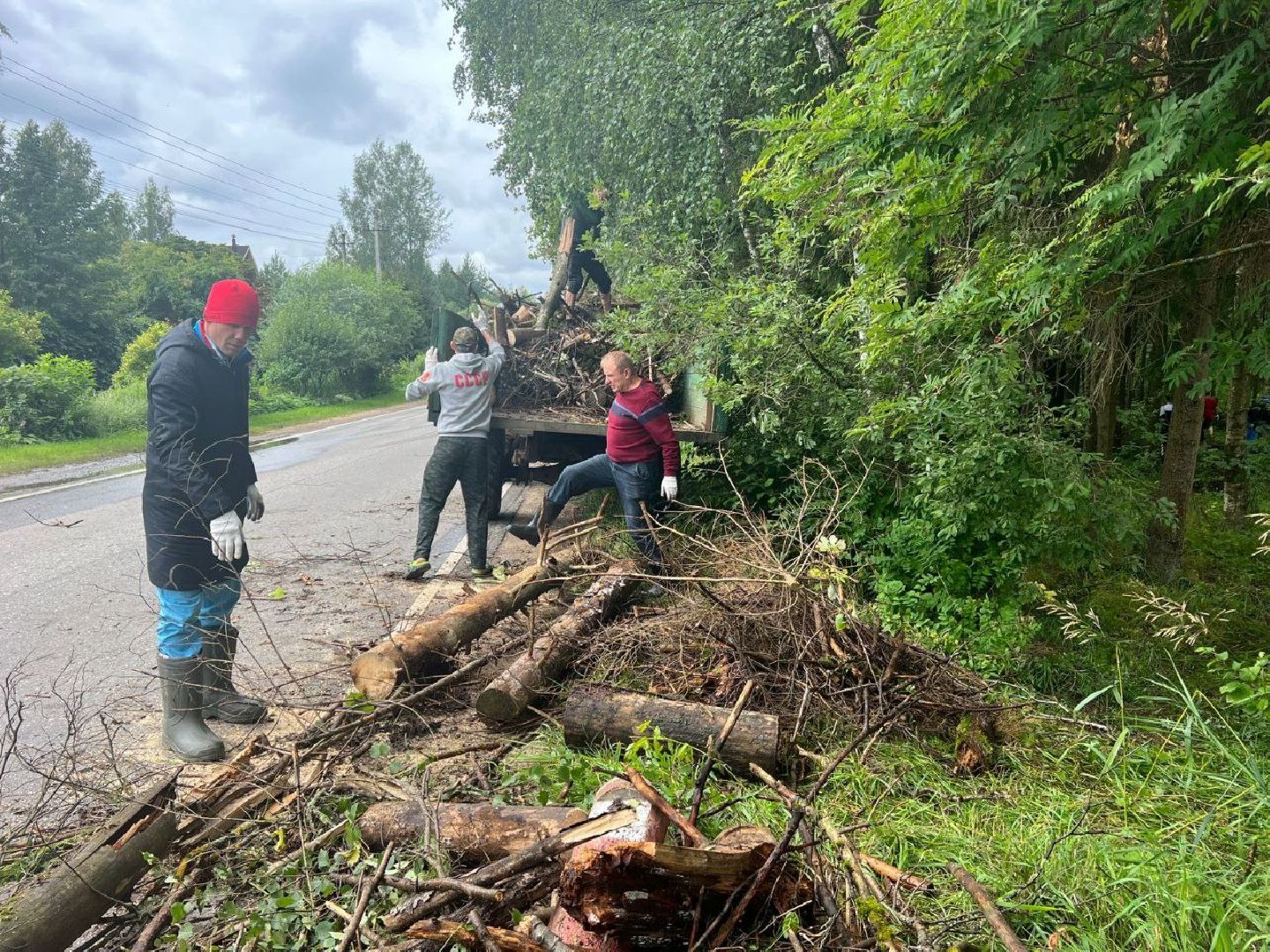 Солнечногорск, субботник, лес, акция, жители