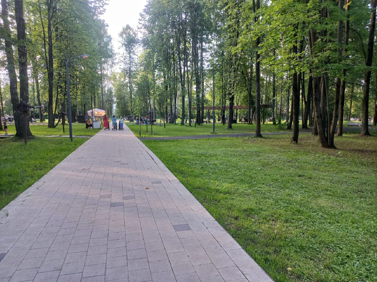 Солнечногорск, парк, благоустройство, жители, прогулка