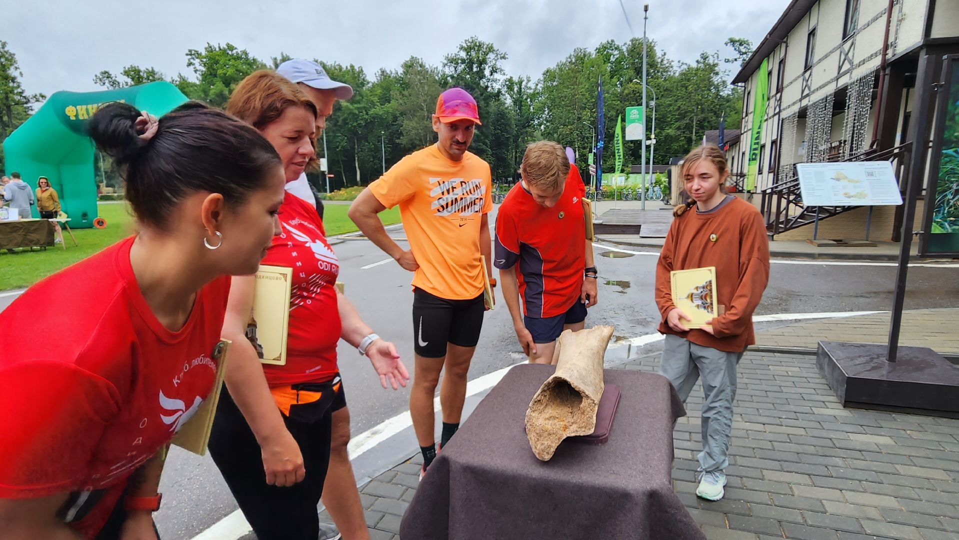 Одинцово, Краеведческое общество, Мамонт, Артефакт