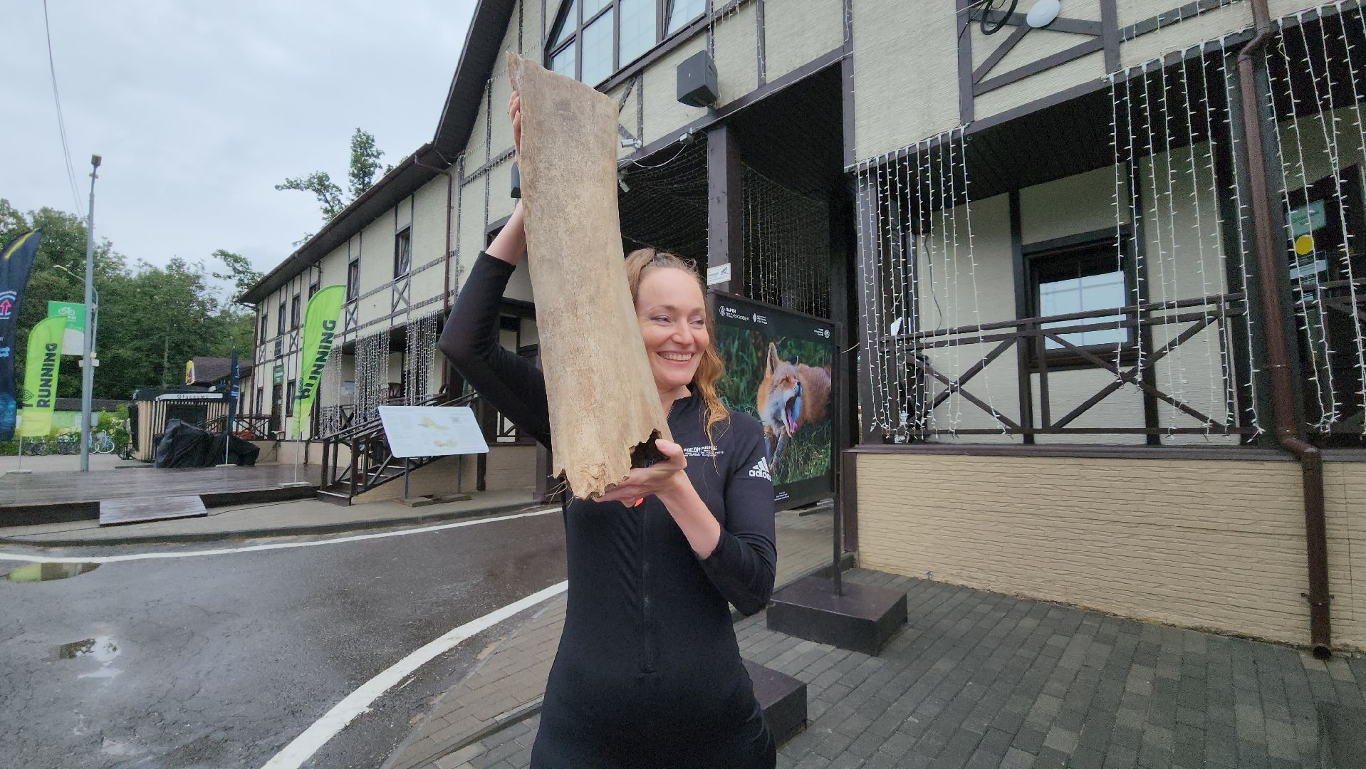 Одинцово, Краеведческое общество, Мамонт, Артефакт