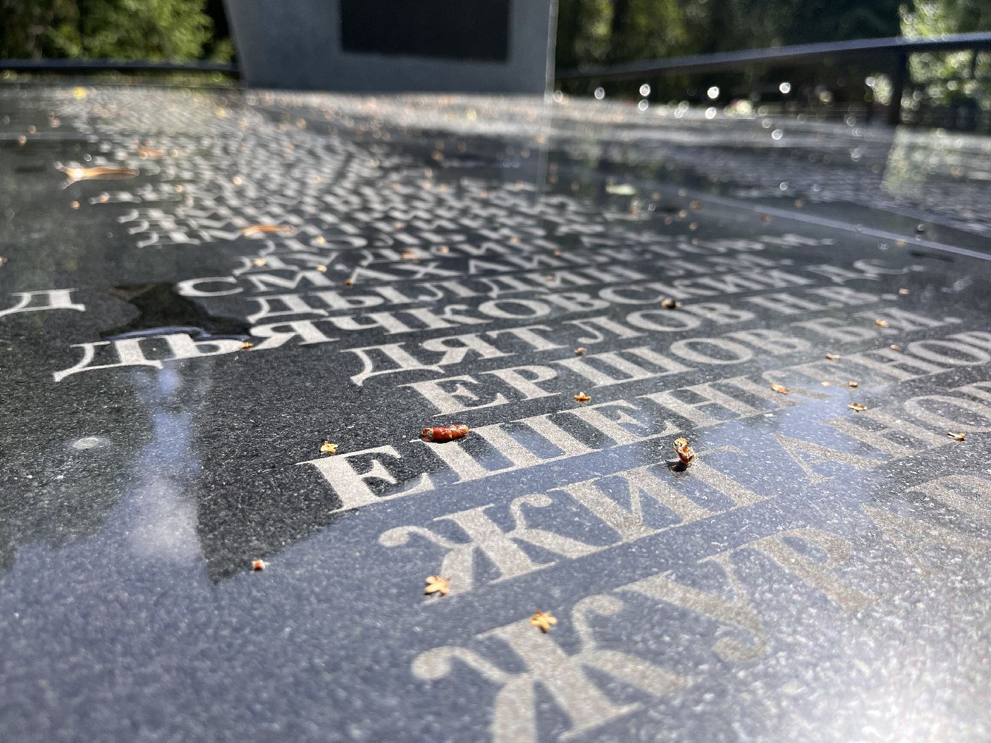 Шаховская, памятник, реставрация