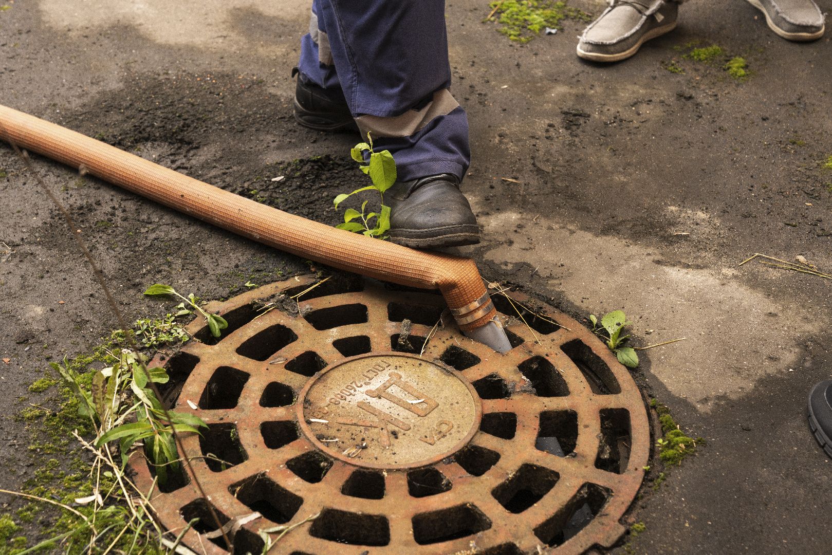 подготовка школ к 1 сентября, Домодедово