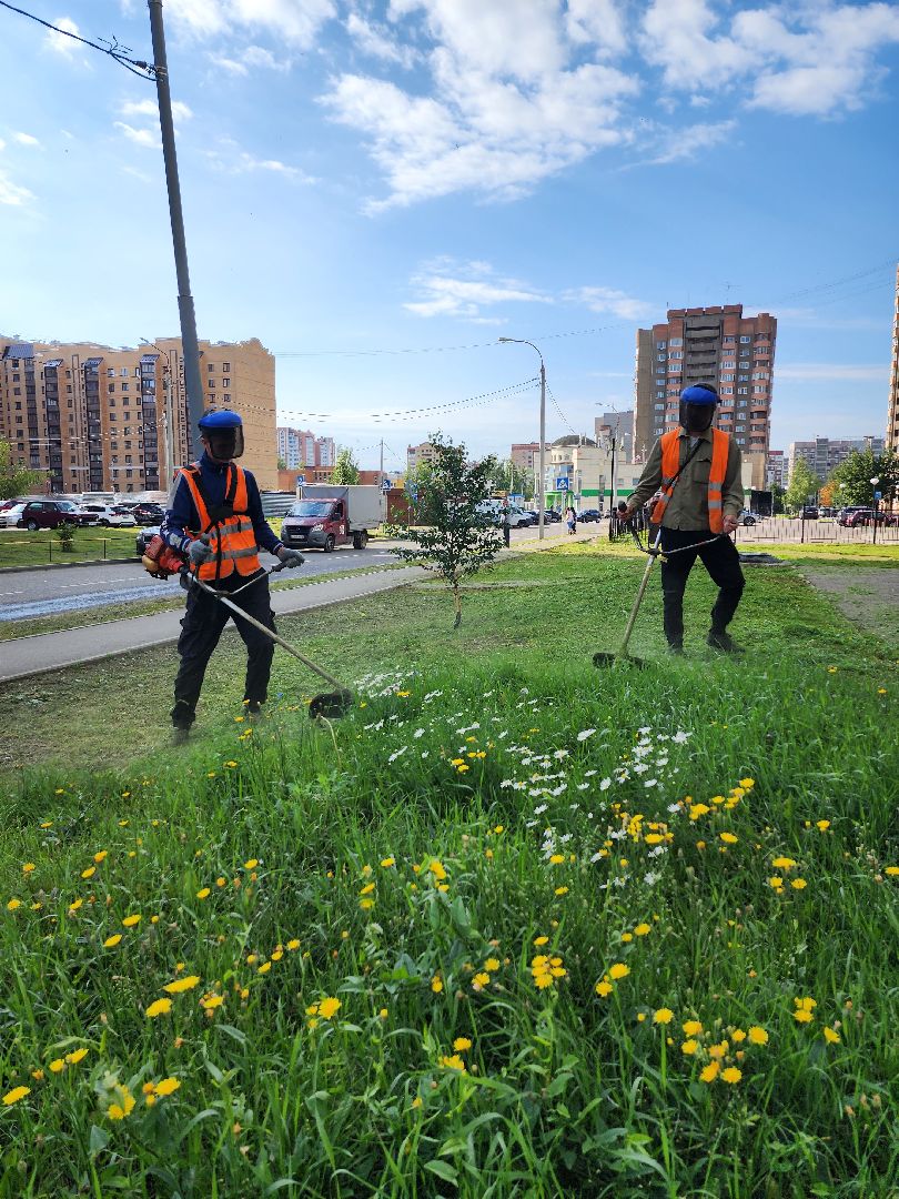 серпухов, благоустройство, покос травы, двор, наведение порядка, ивановские дворики, бульвар 65 дет победы,