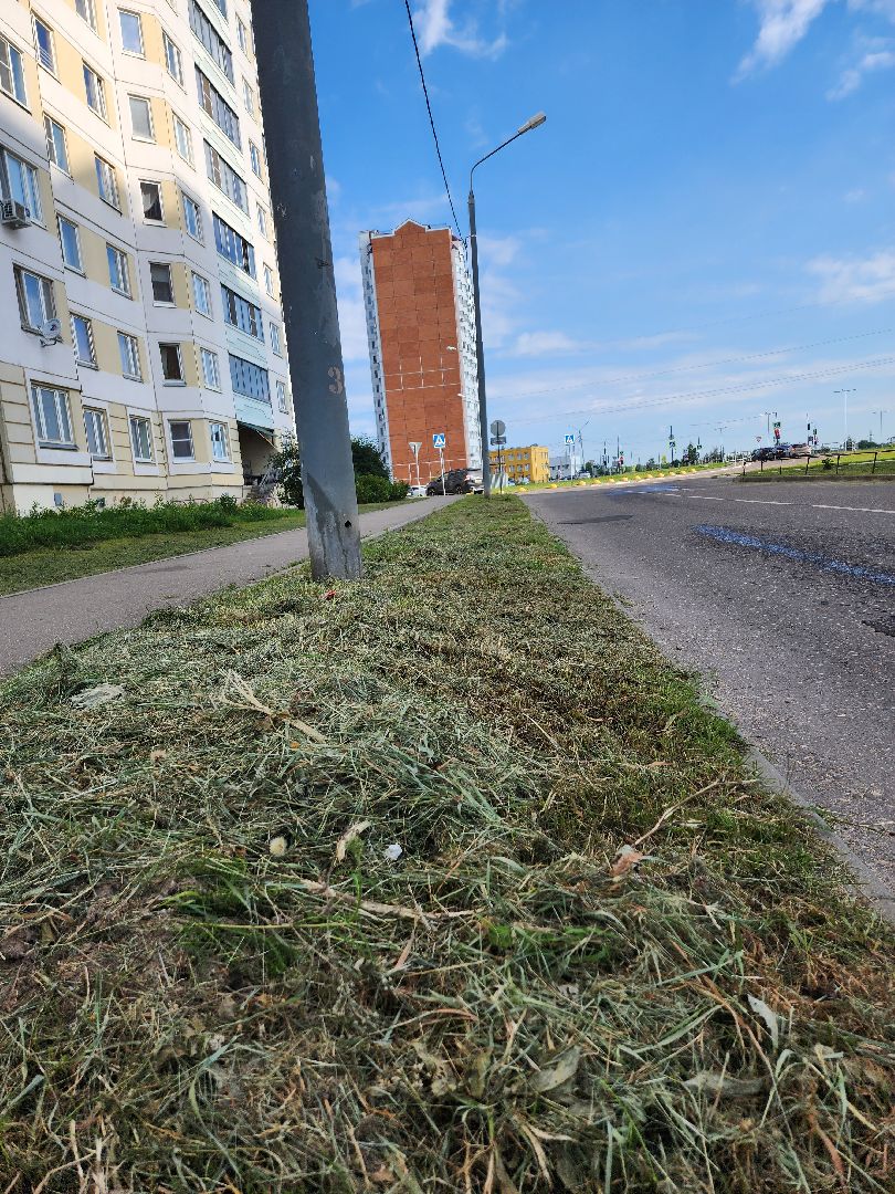 серпухов, благоустройство, покос травы, двор, наведение порядка, ивановские дворики, бульвар 65 дет победы,
