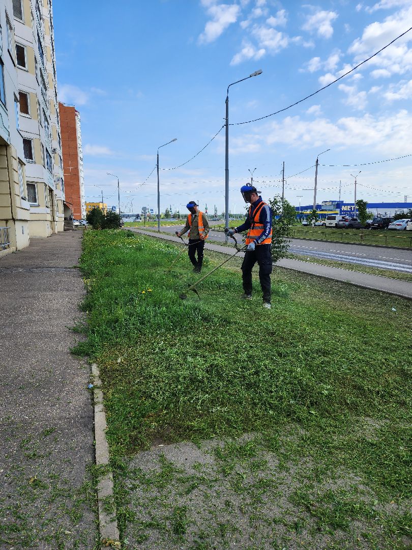серпухов, благоустройство, покос травы, двор, наведение порядка, ивановские дворики, бульвар 65 дет победы,