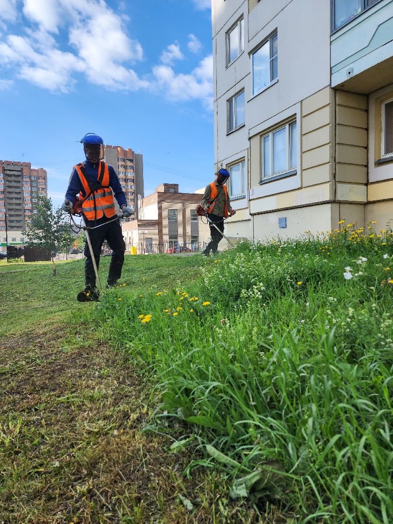 серпухов, благоустройство, покос травы, двор, наведение порядка, ивановские дворики, бульвар 65 дет победы,