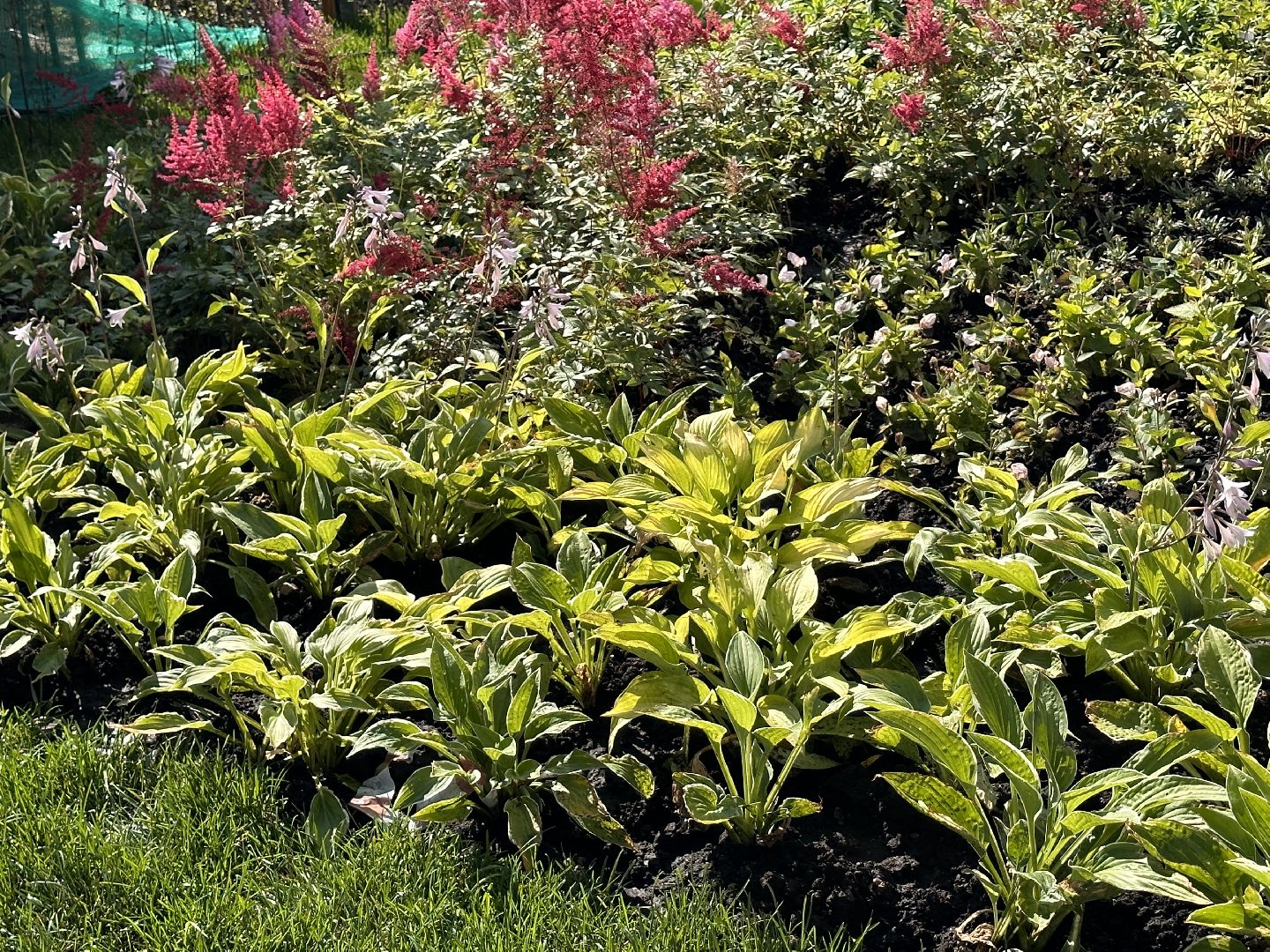 Одинцово, Гусарская баллада, Школа, Подмосковье