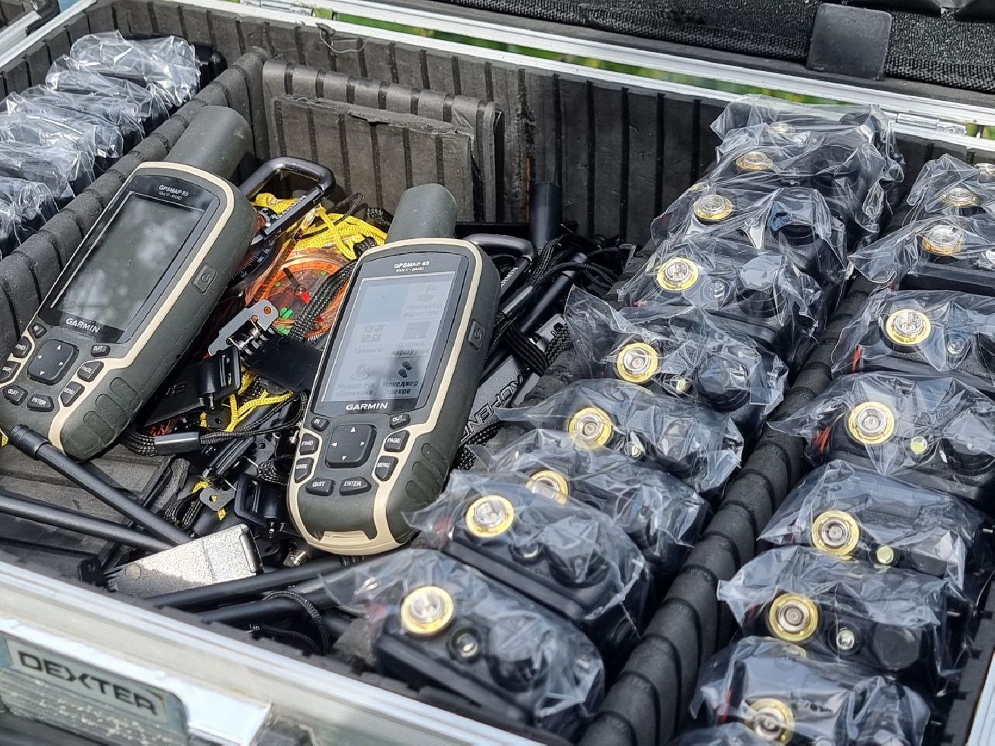 учения, спасатели, поиск, Дружба, СПАС ГРАД, Найти и спасти