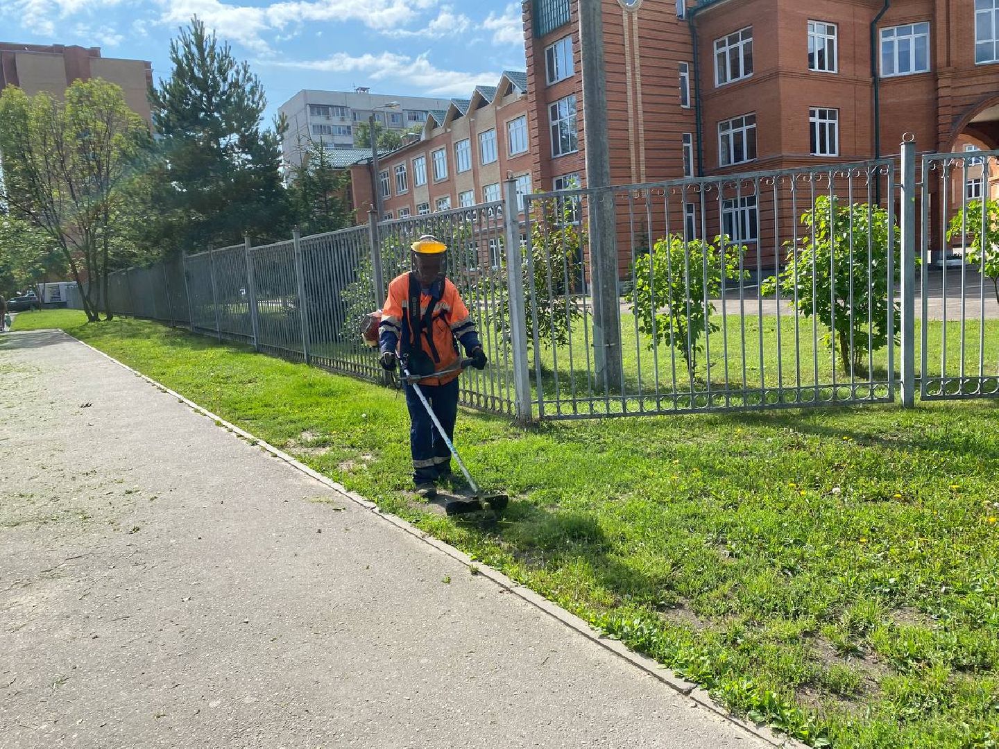 Чехов, благоустройство, покос травы, жители, коммунальные службы