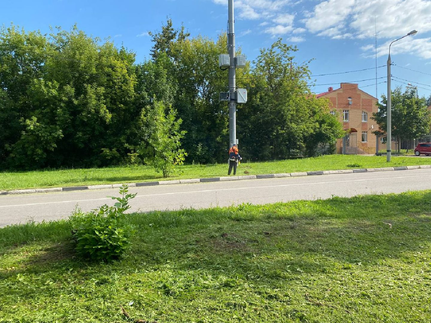 Чехов, благоустройство, покос травы, жители, коммунальные службы