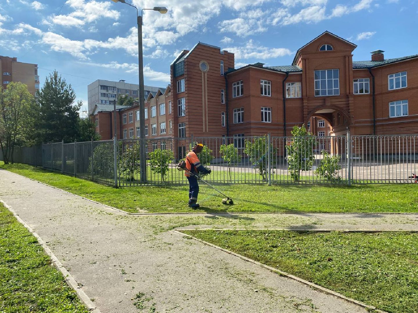 Чехов, благоустройство, покос травы, жители, коммунальные службы