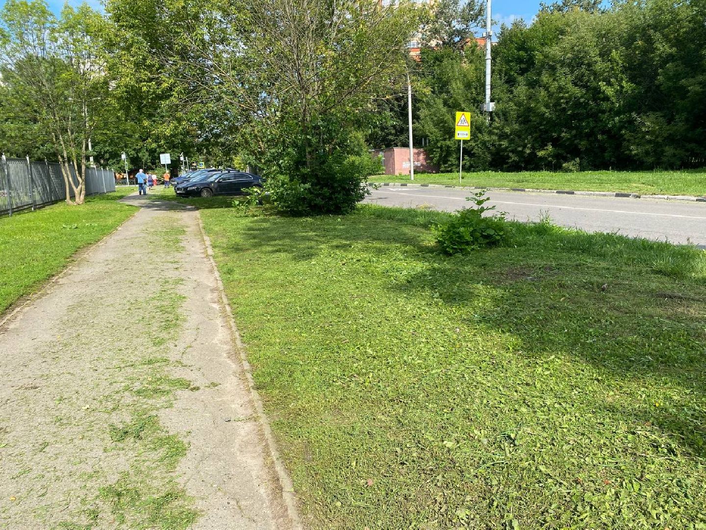 Чехов, благоустройство, покос травы, жители, коммунальные службы