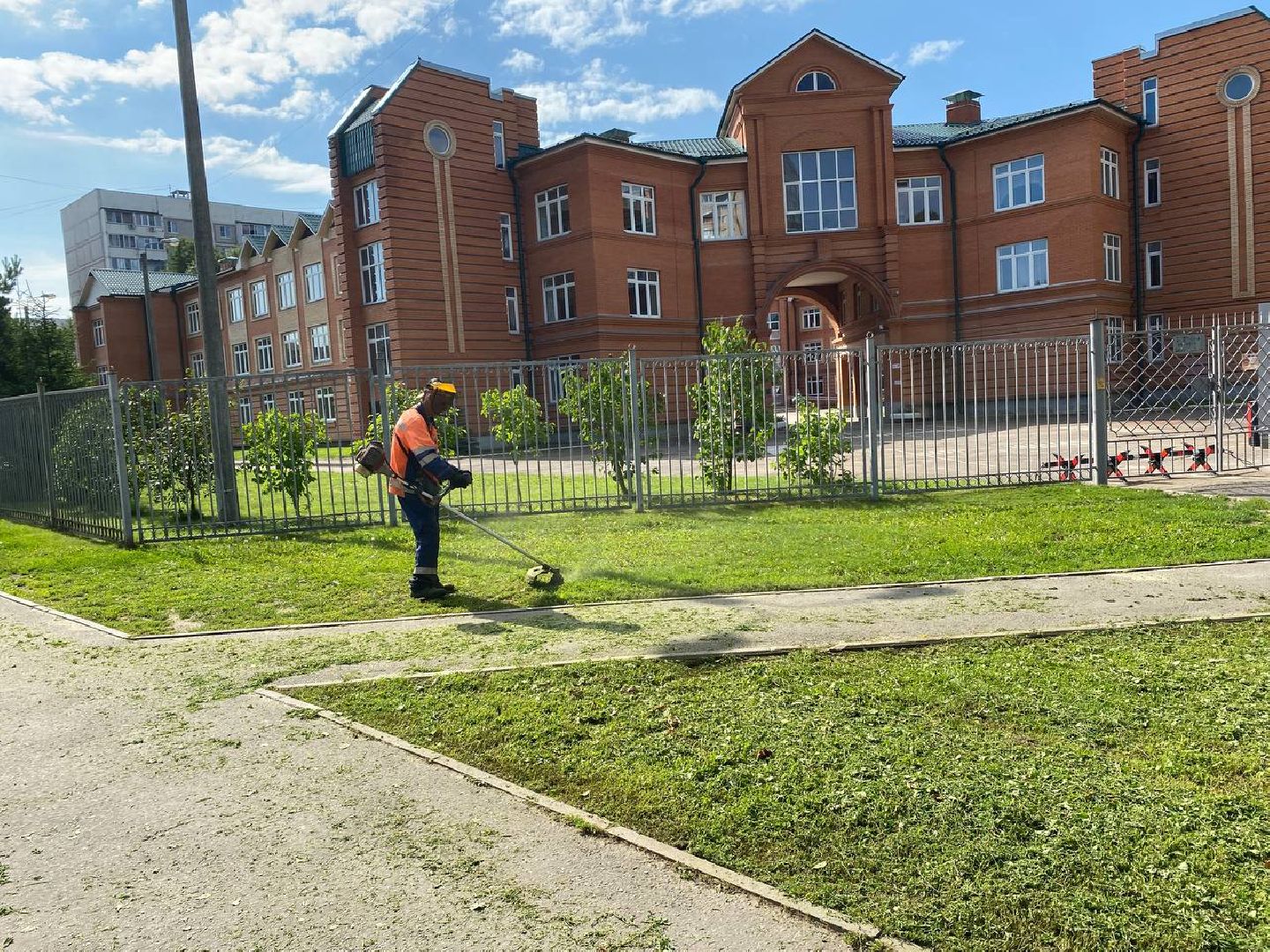 Чехов, благоустройство, покос травы, жители, коммунальные службы