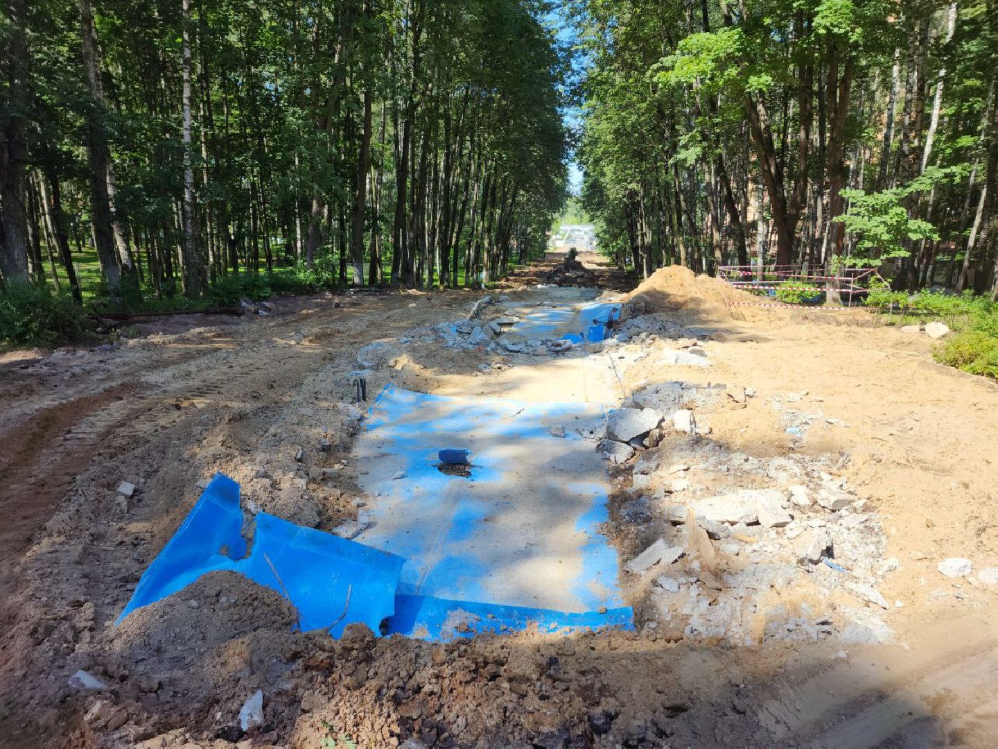 Дмитров, Парк Березовая роща, Минблаго МО