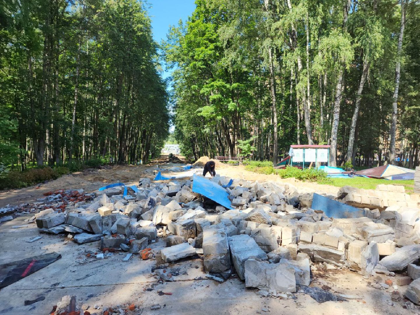 Дмитров, Парк Березовая роща, Минблаго МО