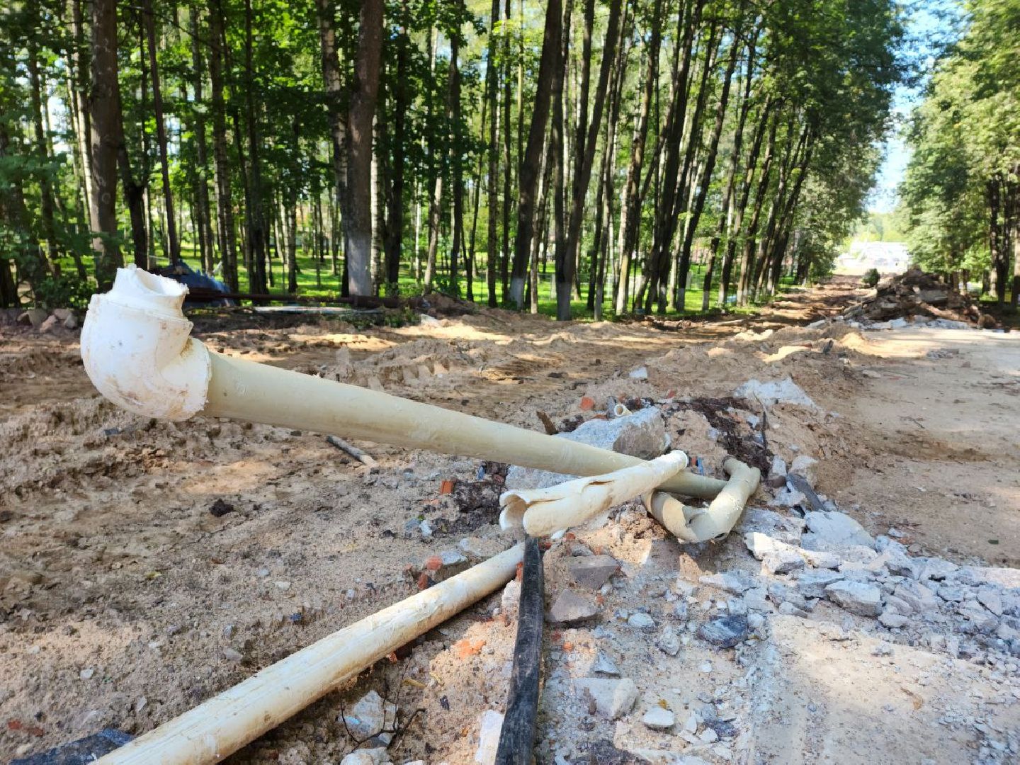 Дмитров, Парк Березовая роща, Минблаго МО