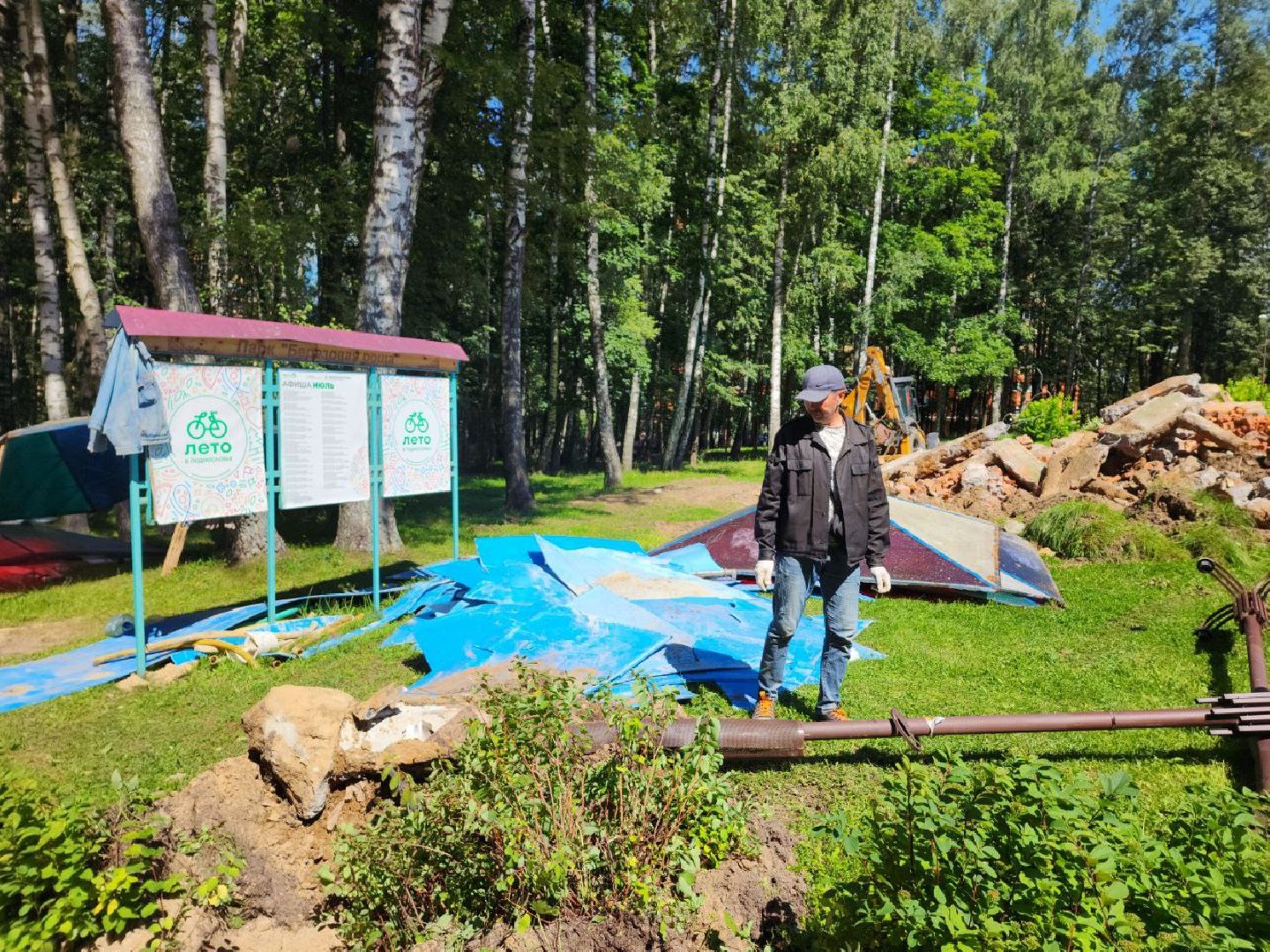 Дмитров, Парк Березовая роща, Минблаго МО