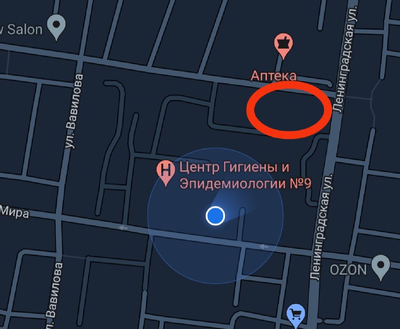 Здоровая суббота, спорт, ЛФК, ФБУЗ МСЧ №9 ФМБА России, Дубна