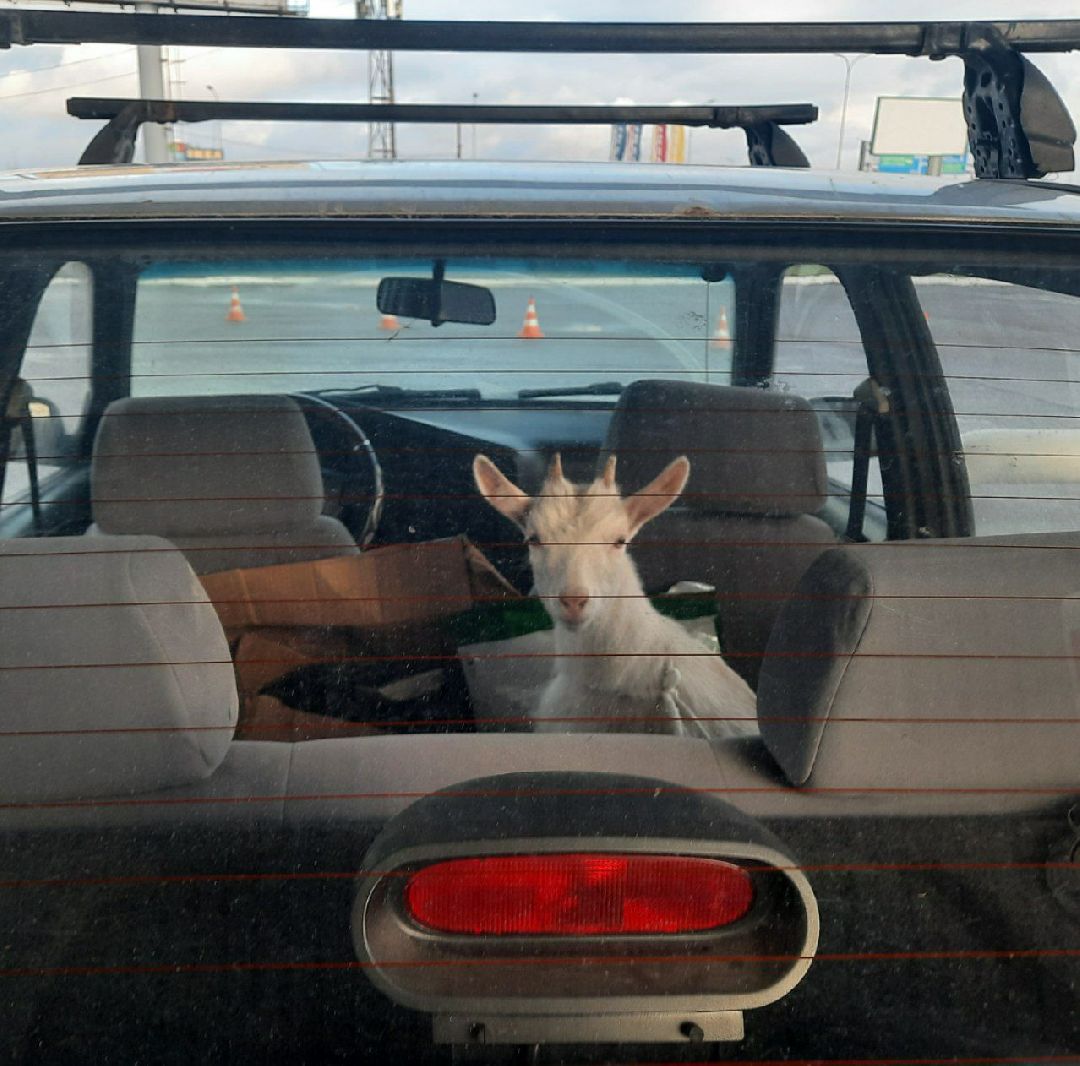 Серпухов, люди