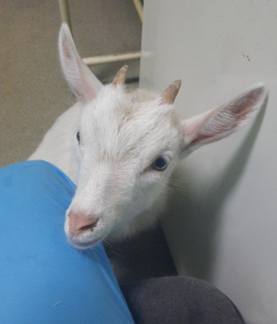 Серпухов, люди