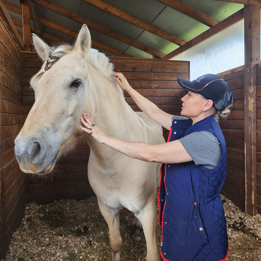 Иваново поле, фестиваль, лошади, село Ивановское, городской округ Черноголовка
