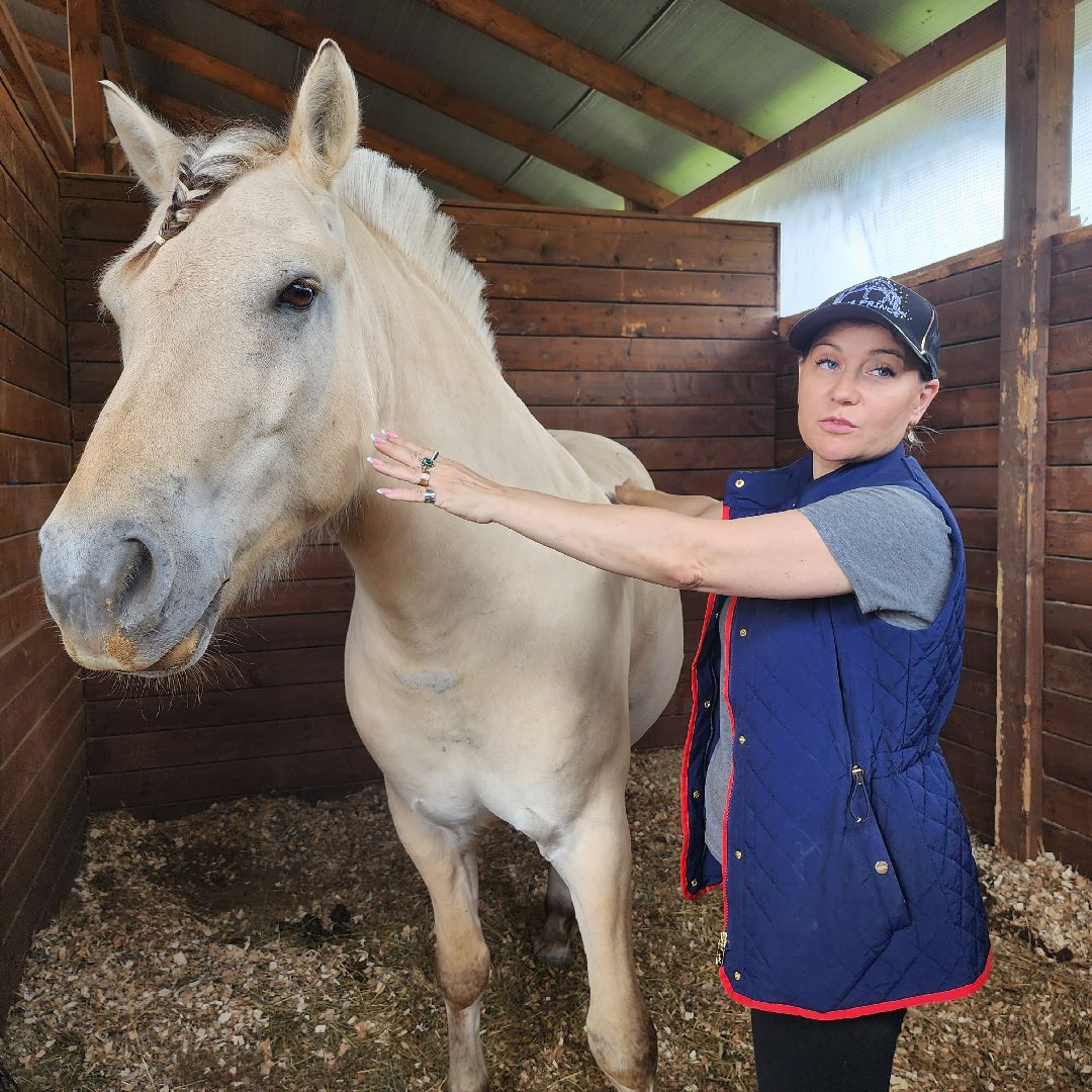 Иваново поле, фестиваль, лошади, село Ивановское, городской округ Черноголовка