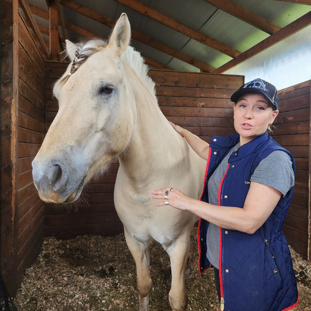 Иваново поле, фестиваль, лошади, село Ивановское, городской округ Черноголовка