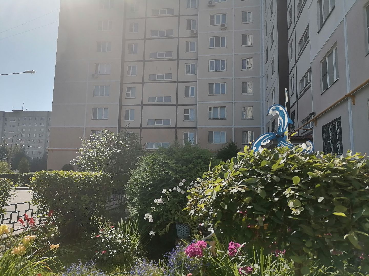 дворыподмосковья