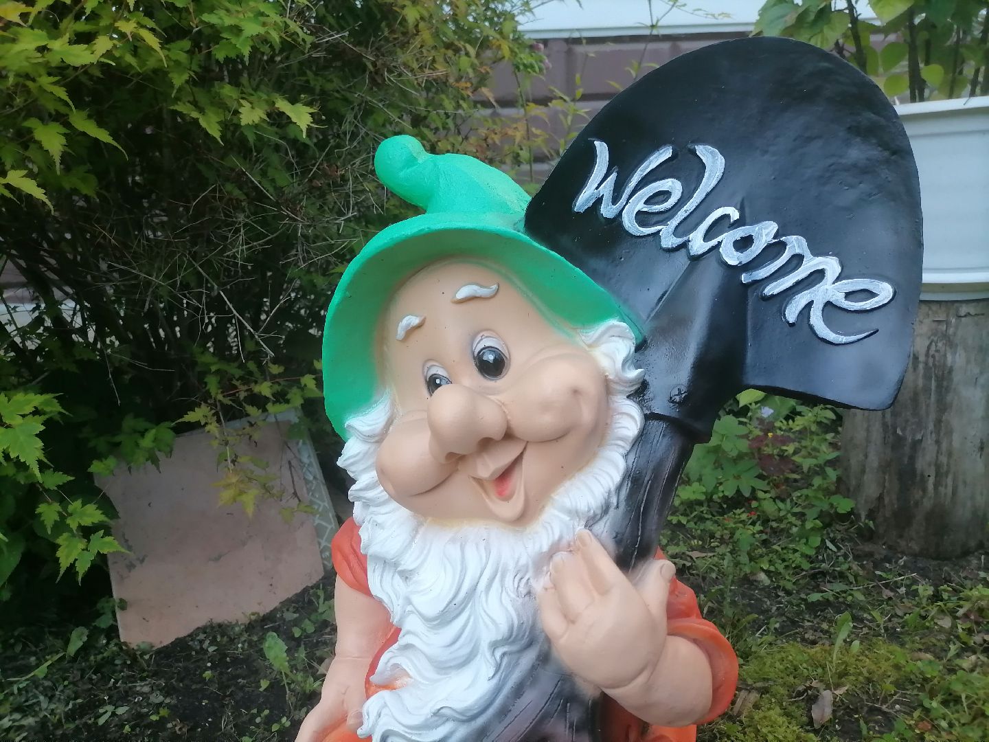 дворыподмосковья