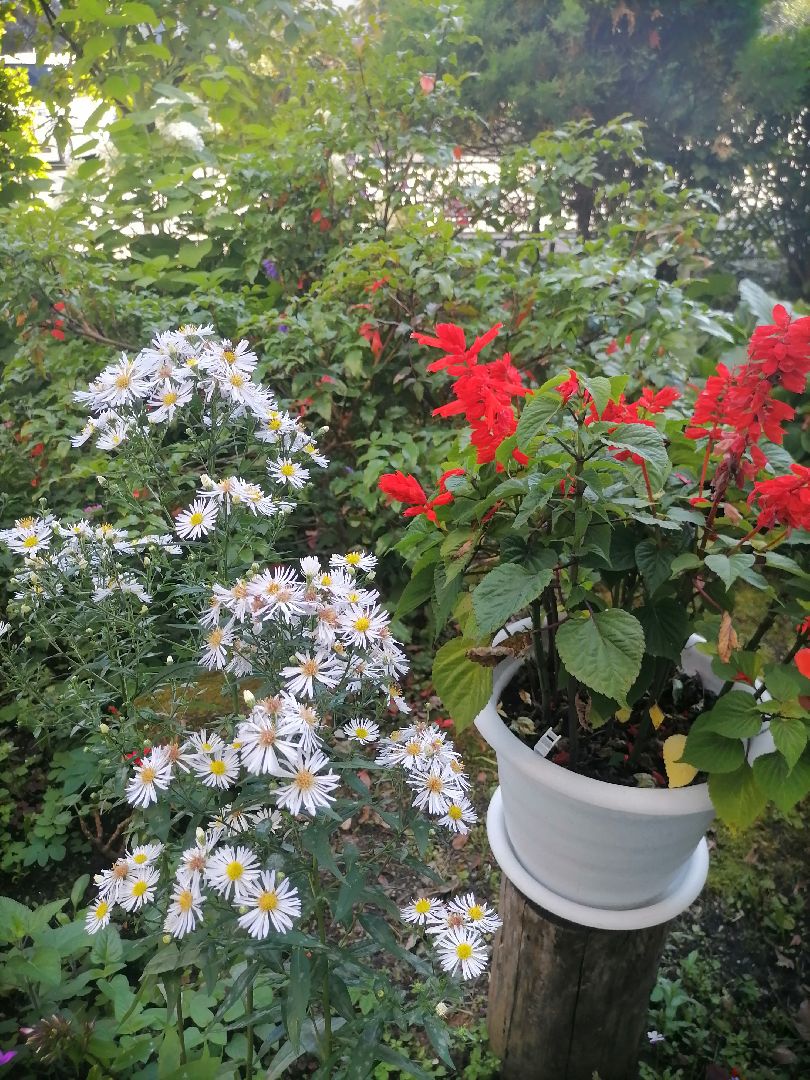 дворыподмосковья