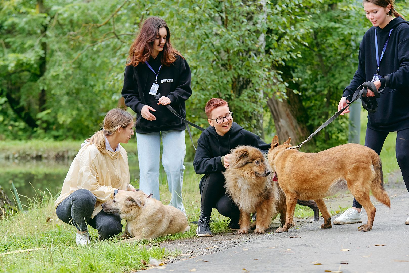 Солнечногорск, ника, территория смыслов, участники, приют