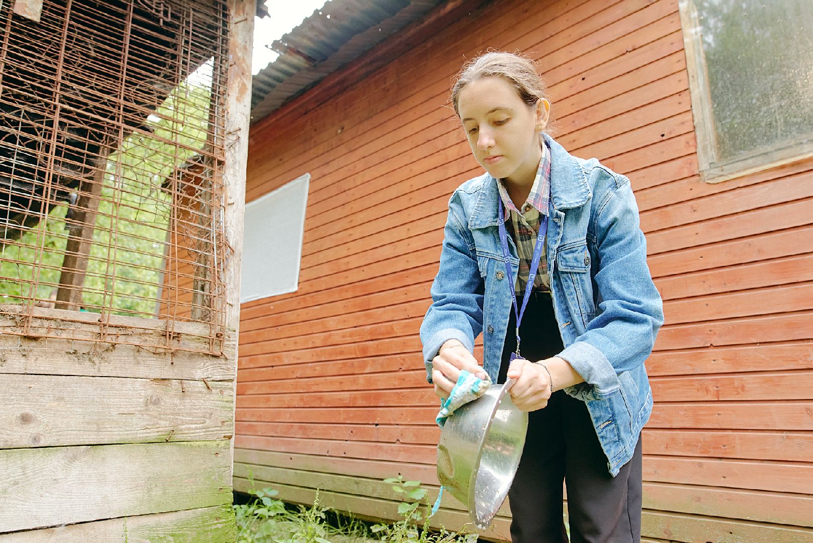 Солнечногорск, ника, территория смыслов, участники, приют