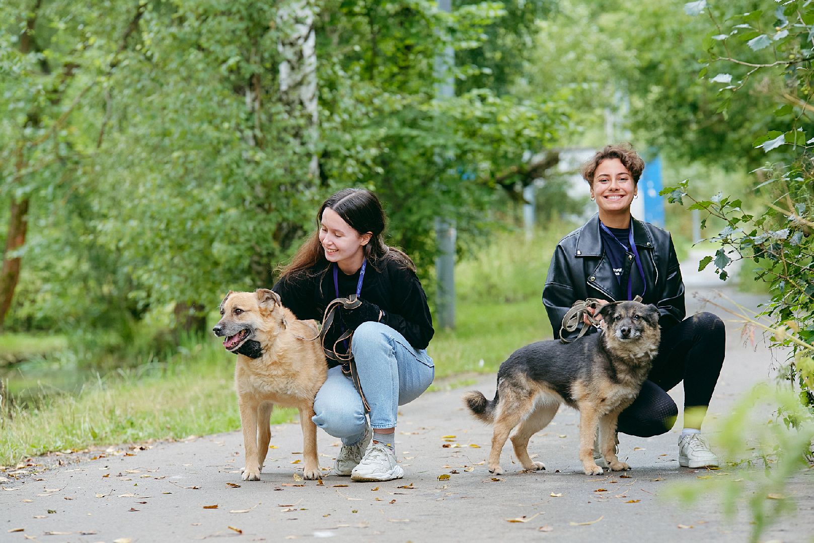 Солнечногорск, ника, территория смыслов, участники, приют