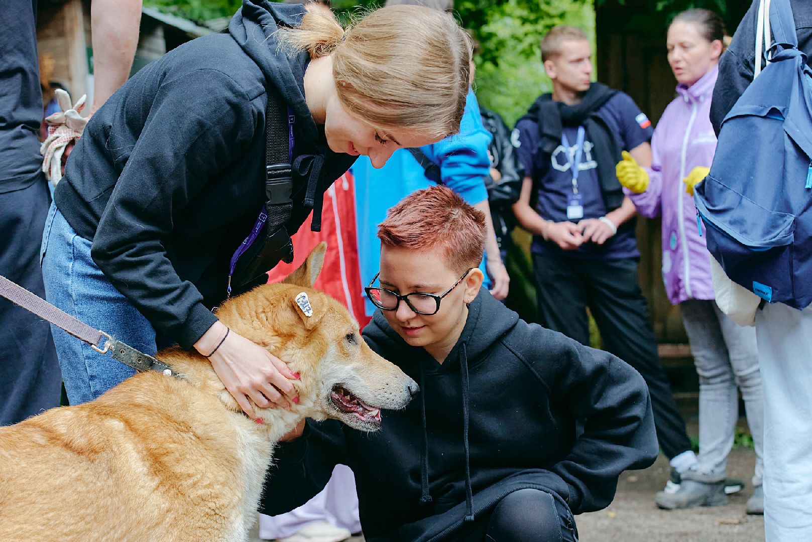 Солнечногорск, ника, территория смыслов, участники, приют