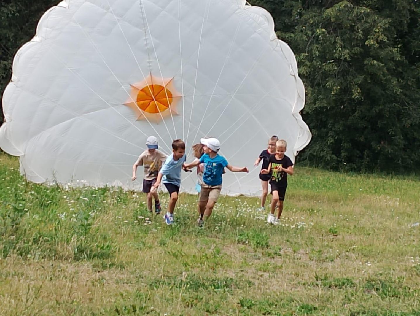 Центр, детского, творчества, МБУ ДО ЦДТ, набор, учебный, год, занятия, кружки