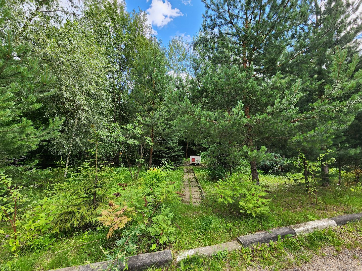 Одинцово, Немчиновка, Ромашково, Барвиха, Парк Малевича, Малевич, искусство,