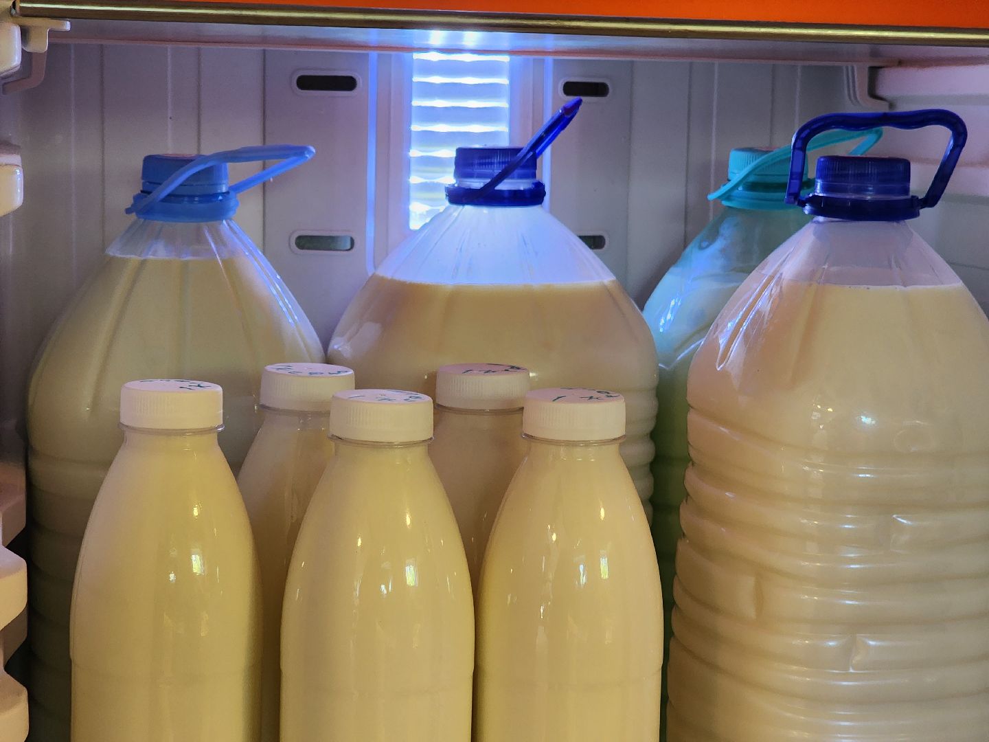 Одинцово, Зайцево, сельское хозяйство, молоко, ферма,