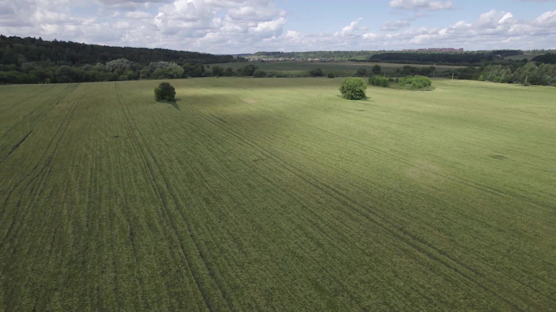 Реутов, песня, патриотизм, певица, Екатерина Марулина, Россия