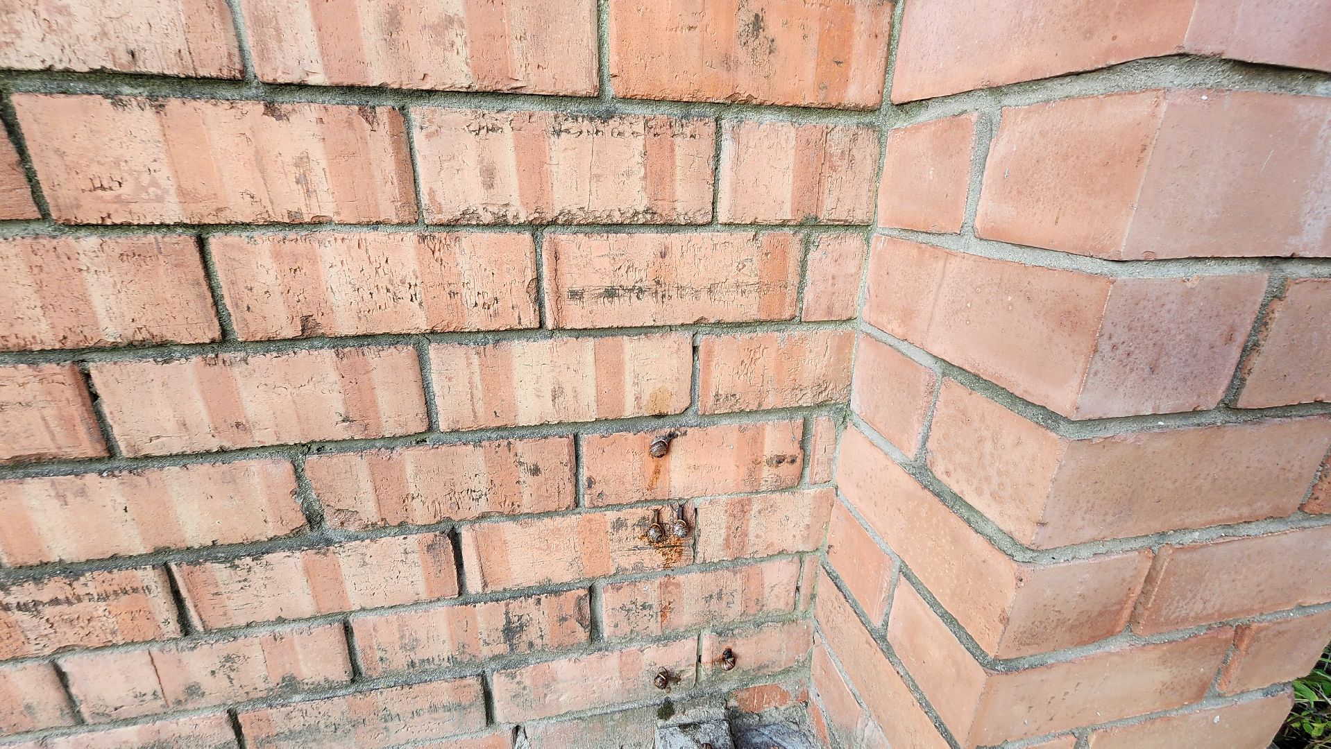 Пушкино, Пушкинский округ, улитки, садоводы, природа, экология, общество