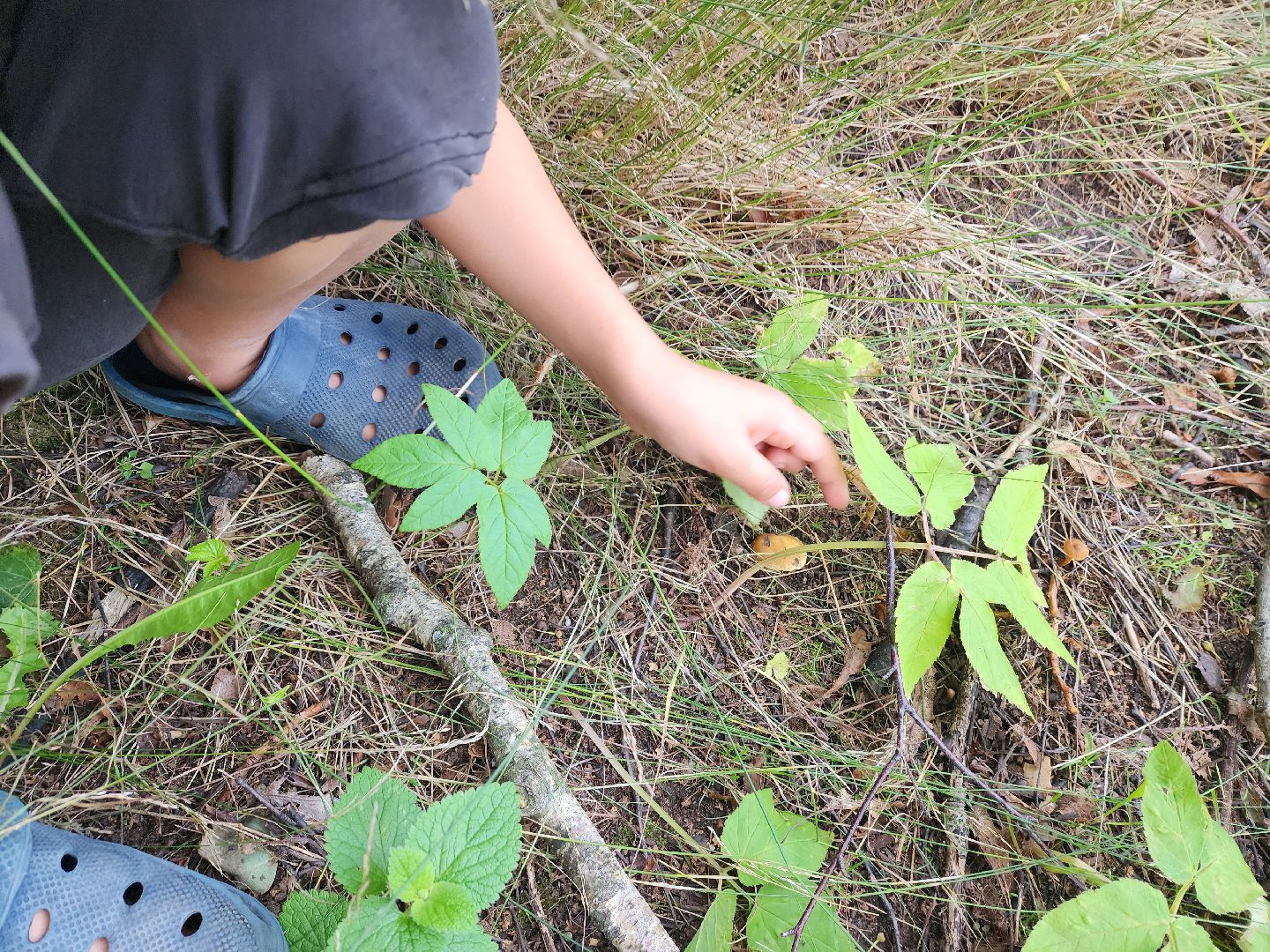 лето в подмосковье, знаменитости, дождь