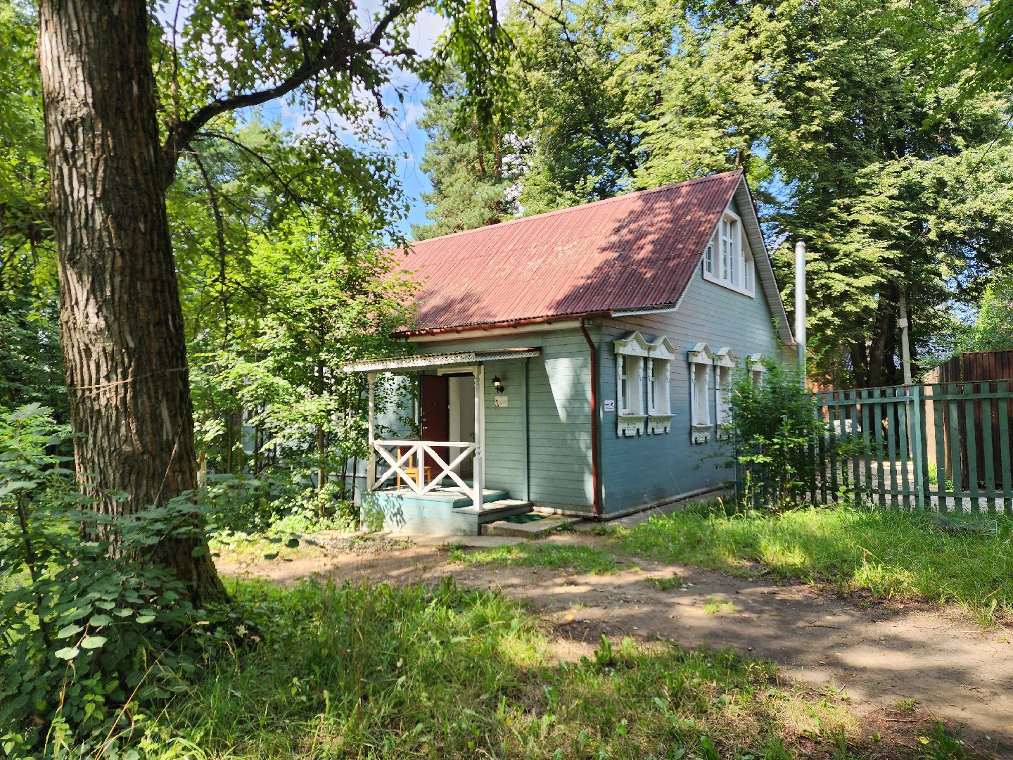 лето в подмосковье, знаменитости, дождь