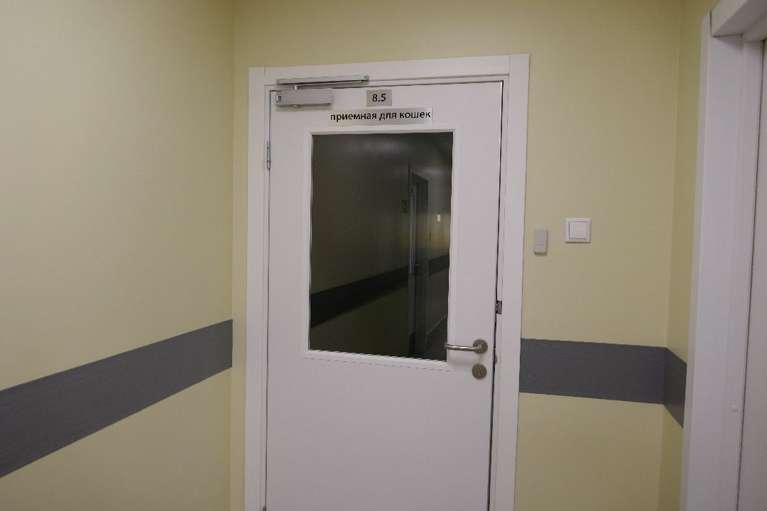 Подольск, волонтеры