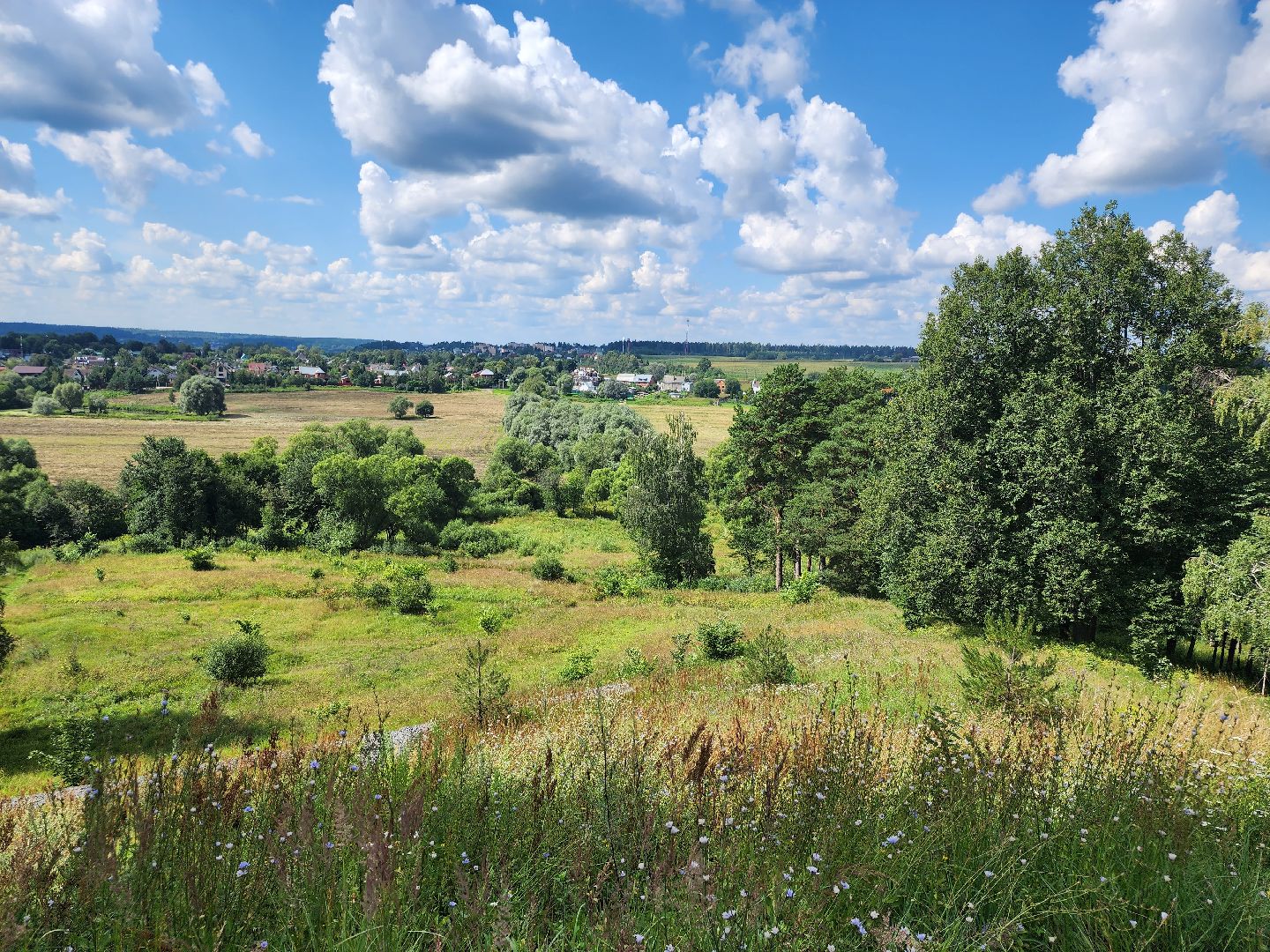 Звенигород, культура, православие, юбилей Саввино-Сторожевского монастыря, Российская академия живописи, ваяния и зодчества