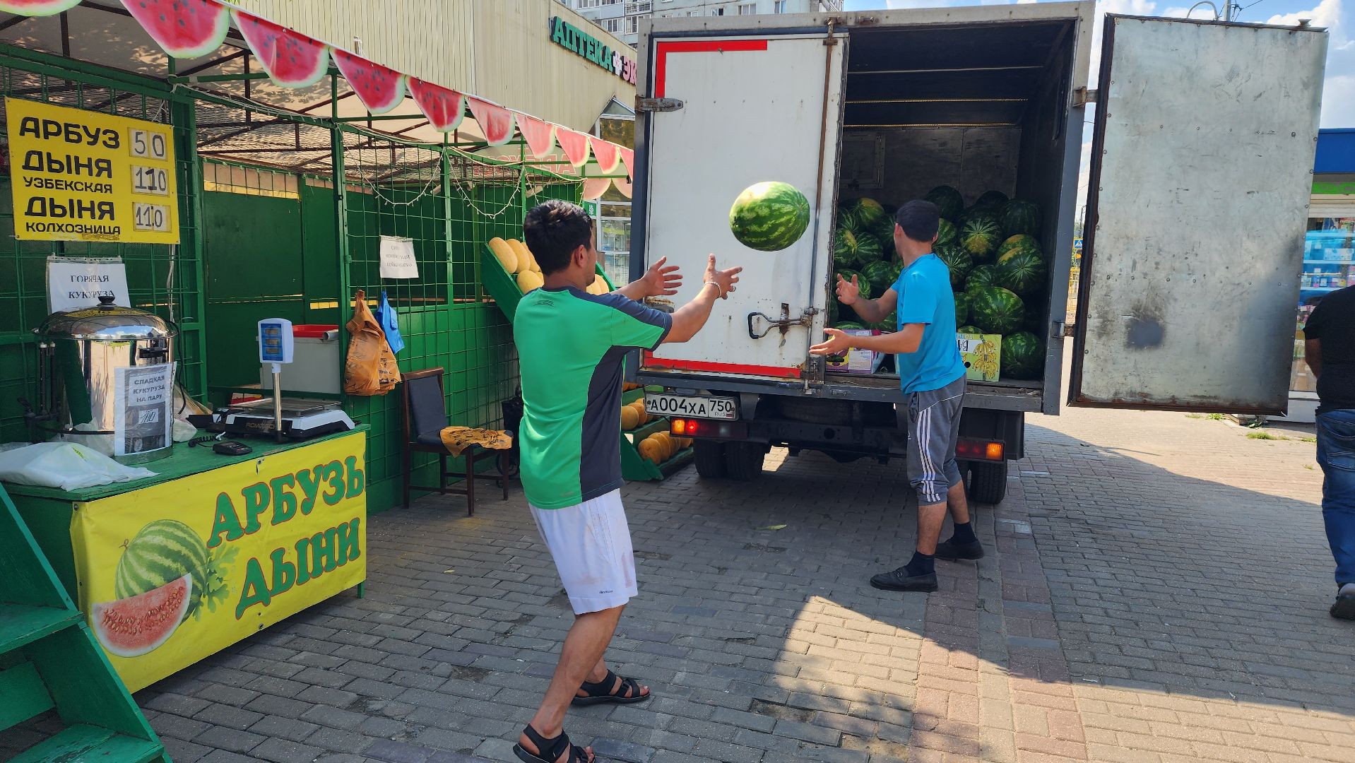 торговля, сезон арбузов,